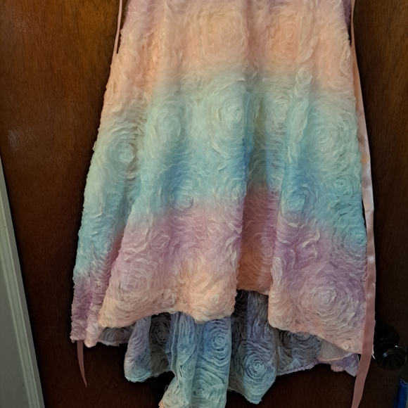Rare edition Size 12 girl dresses with high low skirt. - Picture 8 of 17
